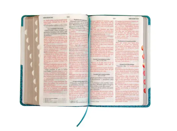 Biblia RVR60 LG Tamaño Manual Símil Piel Duotono índice - Imagen 2