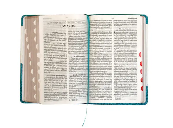 Biblia RVR60 LG Tamaño Manual Símil Piel Duotono índice - Imagen 3