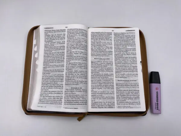 Biblia RVR60 LG Tamaño Manual Símil Piel Duotono con Índice - Imagen 2