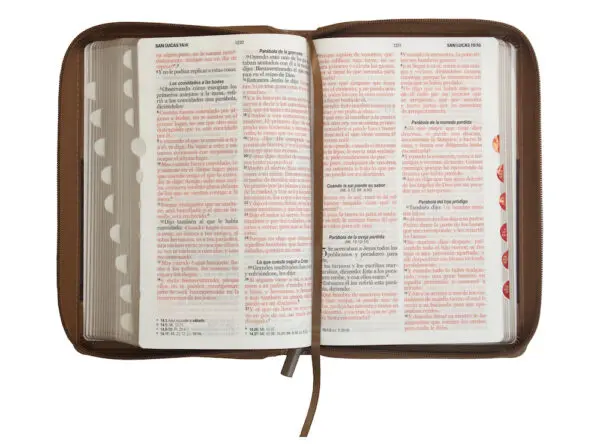 Biblia RVR60 LG Tamaño Manual Símil Piel Duotono con Índice - Imagen 4