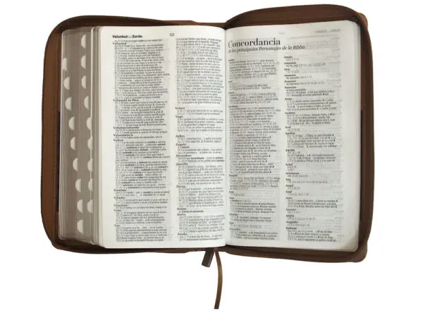Biblia RVR60 LG Tamaño Manual Símil Piel Duotono con Índice - Imagen 5