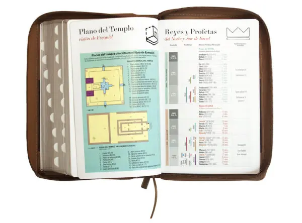 Biblia RVR60 LG Tamaño Manual Símil Piel Duotono con Índice - Imagen 6