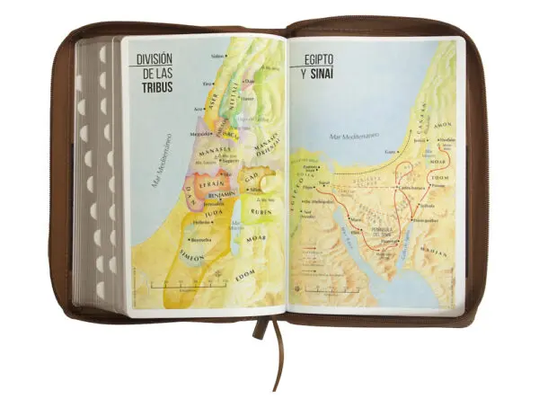 Biblia RVR60 LG Tamaño Manual Símil Piel Duotono con Índice - Imagen 7
