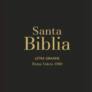 Biblia RVR60 Letra Grande/Tamaño manual - Negro Vinilo