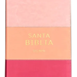 Biblia RVR 2020 Letra Grande Imitación Piel Rosado