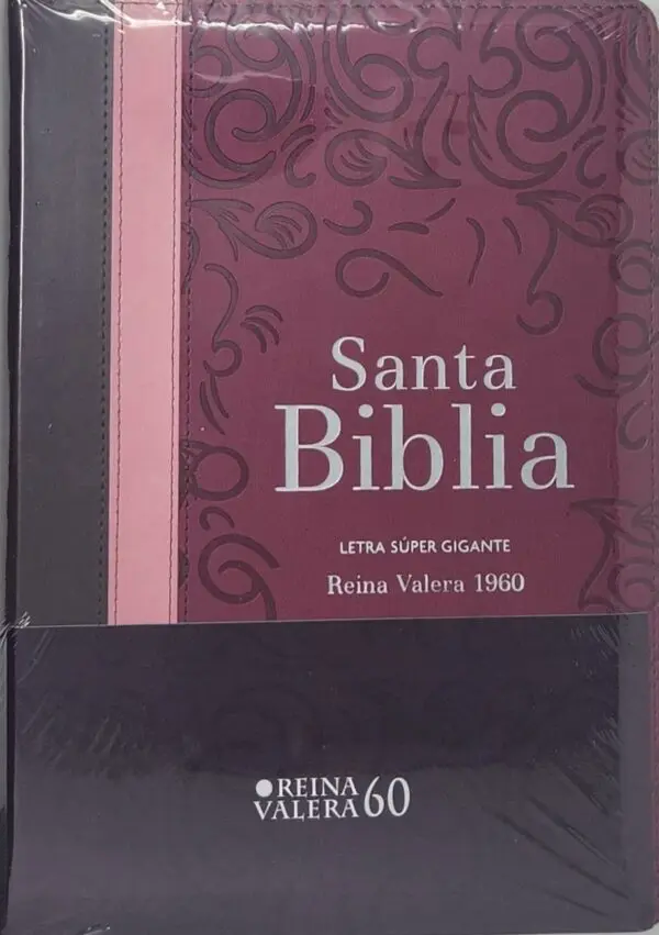 Biblia RVR60 Letra Súper Gigante Tricolor con Índice - Imagen 4