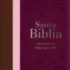 Biblia RVR60 Letra Súper Gigante Tricolor con Índice