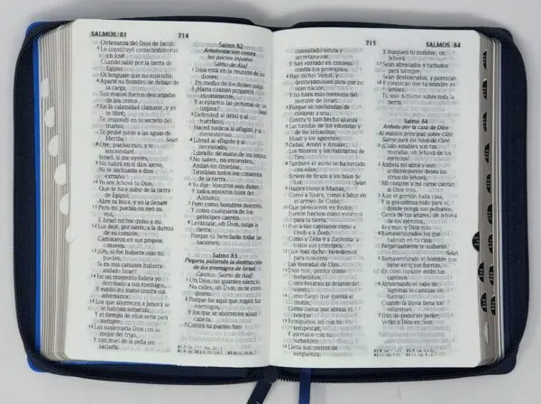 Biblia RVR60 LG Tamaño Manual con cierre con índice - Imagen 3