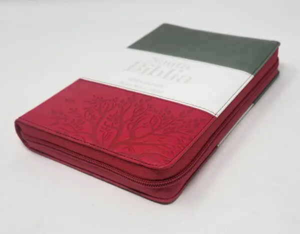 Biblia RVR60 LG Tamaño Manual tricolor con cierre con índice - Imagen 3