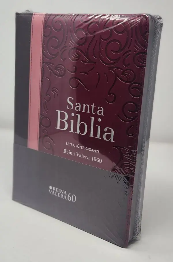 Biblia RVR60 Letra Súper Gigante Tricolor con Índice - Imagen 2