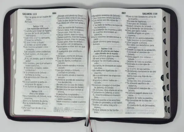 Biblia RVR60 Letra Súper Gigante Tricolor con Índice - Imagen 6
