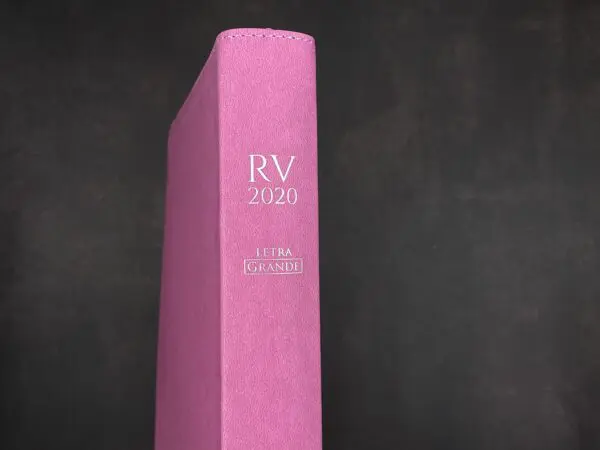 Biblia LG 12 puntos RV2020 imit. piel rosado - Imagen 7