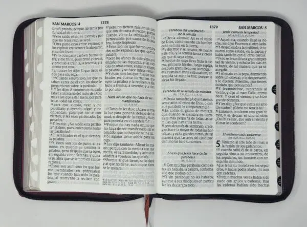 Biblia RVR60 Letra Súper Gigante Tricolor con Índice - Imagen 5