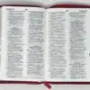 Biblia RVR60 LG Tamaño Manual tricolor con cierre con índice - Imagen 5