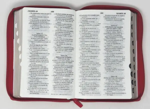 Biblia RVR60 LG Tamaño Manual tricolor con cierre con índice - Imagen 5