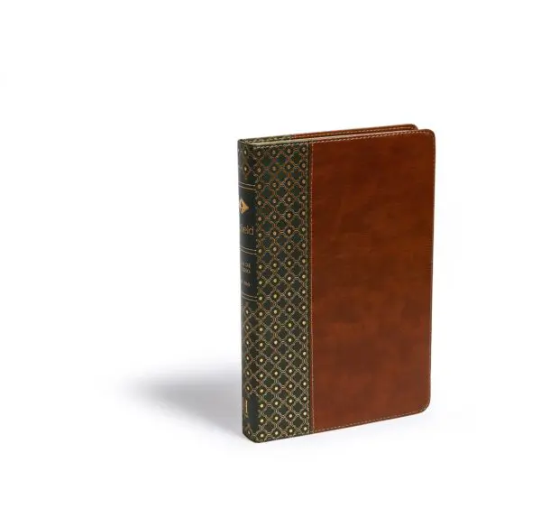 RVR60 Biblia de Estudio Scofield / símil piel - Imagen 4
