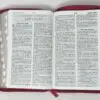 Biblia RVR60 LG Tamaño Manual tricolor con cierre con índice - Imagen 6