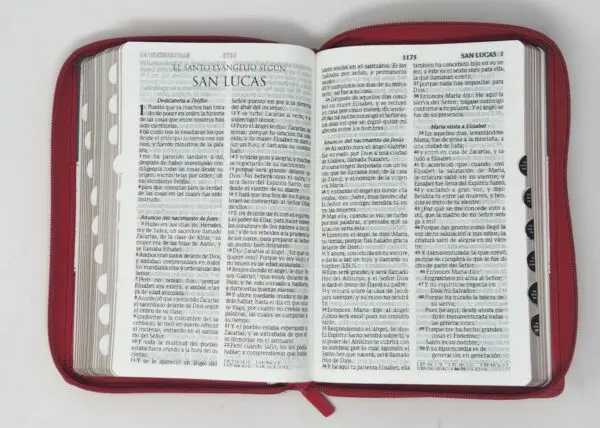 Biblia RVR60 LG Tamaño Manual tricolor con cierre con índice - Imagen 6