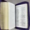 Biblia RVR 2020 Compacta Nombres de Jesús Imitación - Imagen 9