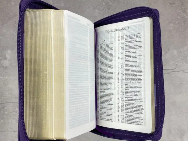 Biblia RVR 2020 Compacta Nombres de Jesús Imitación - Imagen 9