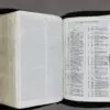 Biblia RVR2020 Compacta Nombres de Jesús Imitación Piel - Imagen 4