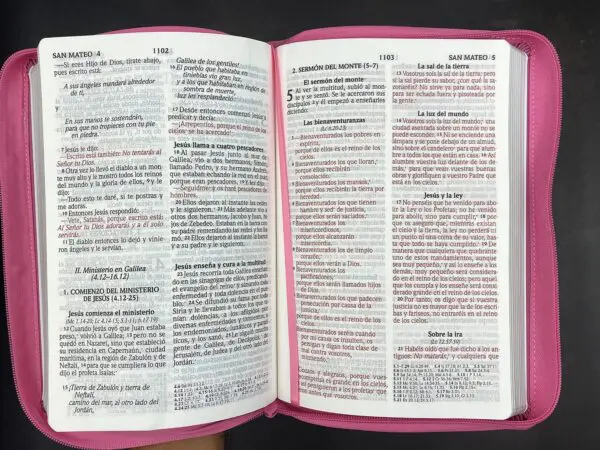 Biblia LG 12 puntos RV2020 imit. piel rosado - Imagen 5