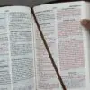 Biblia RVR 2020 LG Imitación Piel Café Efesios 6:12 con Cierre - Imagen 5