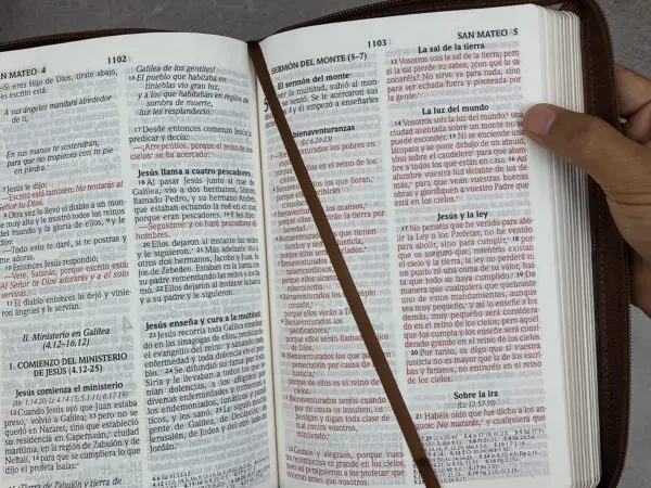 Biblia RVR 2020 LG Imitación Piel Café Efesios 6:12 con Cierre - Imagen 5