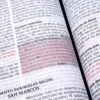 Biblia RVR60 Jesús para Todos LG Tamaño Símil Piel con Índice - Imagen 3