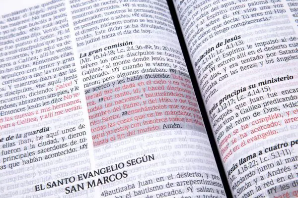 Biblia RVR60 Jesús para Todos LG Tamaño Símil Piel con Índice - Imagen 3