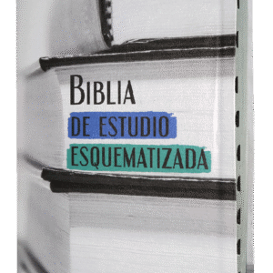 Biblia RVR60 Esquematizada LG con índice