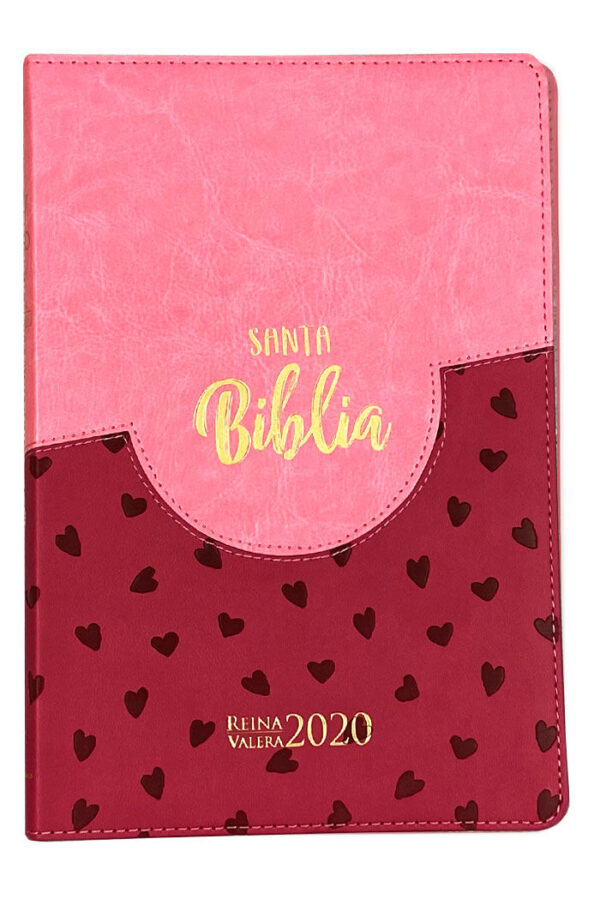 Biblia RVR 2020 Rosa Rosa Corazones