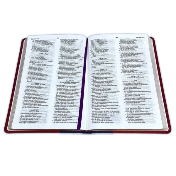 Biblia RVR 2020 Lila Rojo - Imagen 2