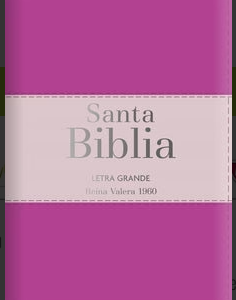 Biblia RVR 1960 LG tamaño manual bicolor con índice