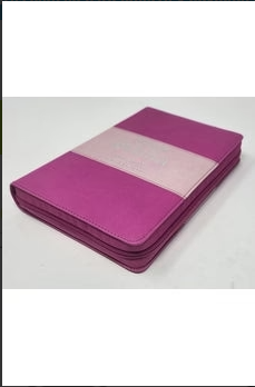 Biblia RVR 1960 LG tamaño manual bicolor con índice - Imagen 3