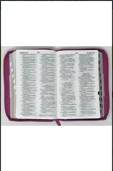 Biblia RVR 1960 LG tamaño manual bicolor con índice - Imagen 4