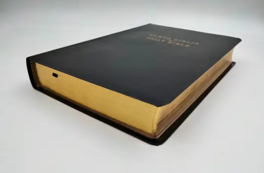 Biblia Bilingüe RVR60 CSB Negro - Imagen 3