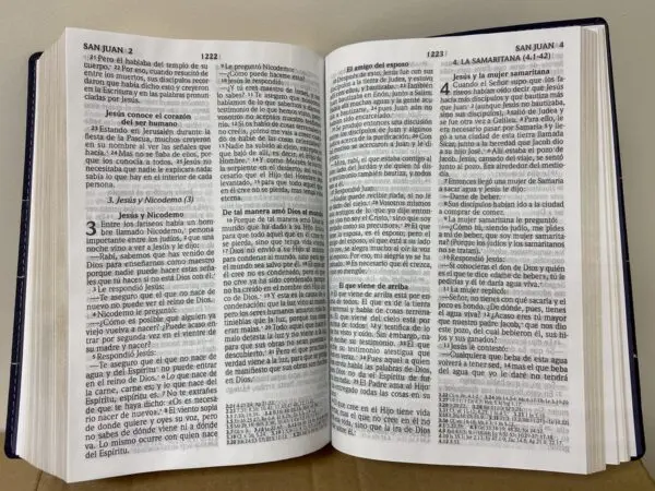 Biblia RVR 2020 Letra Grande Piel Gris Franja - Imagen 4
