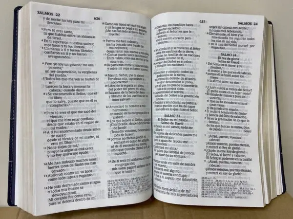 Biblia RVR 2020 Letra Grande Piel Gris Franja - Imagen 5