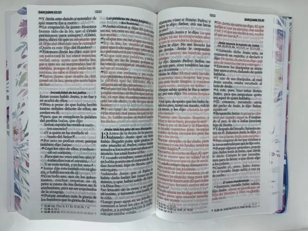 Biblia RVR60 LG 12 pts Tamaño Manual Tapa Dura con Elástico - Imagen 4