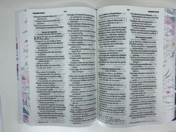 Biblia RVR60 LG 12 pts Tamaño Manual Tapa Dura con Elástico - Imagen 5