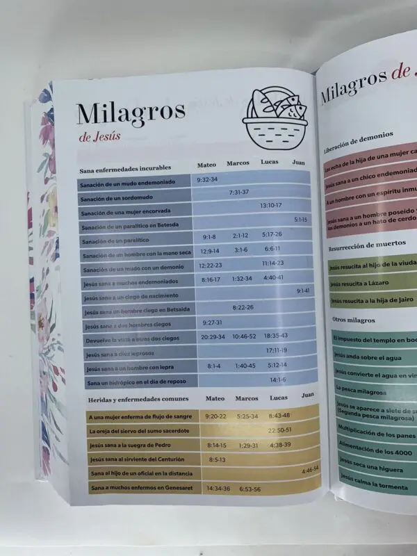 Biblia RVR60 LG 12 pts Tamaño Manual Tapa Dura con Elástico - Imagen 7