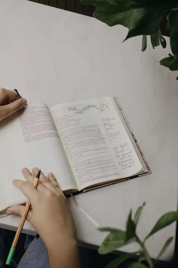 Santa Biblia NVI Edición Artística - Imagen 2