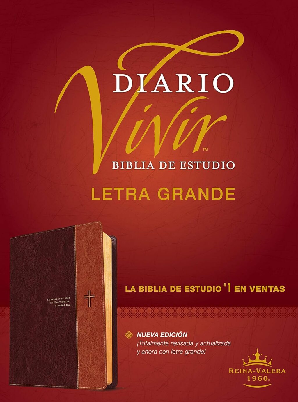 Biblia RVR 1960  Estudio Diario Vivir Letra Grande Café  Índice