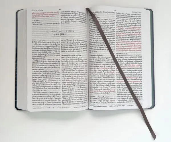 Biblia León Rey De Reyes Letra Grande - Imagen 5