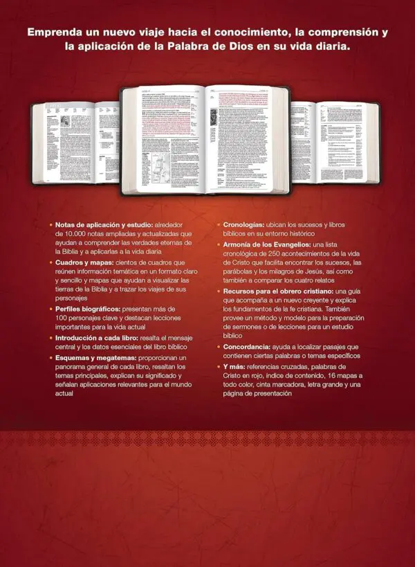 RVR 1960 de Estudio Diario Vivir Negro Ónice Sentipiel - Imagen 3