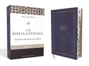 Biblia Catolica 9781400238101