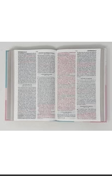 Biblia RVR 1960  Flex Pastel Tricolor - Imagen 2