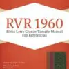 Reina Valera 1960 Ciruela Y Verde