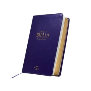 Reina Valera 1960 LG Tamaño Manual Lila